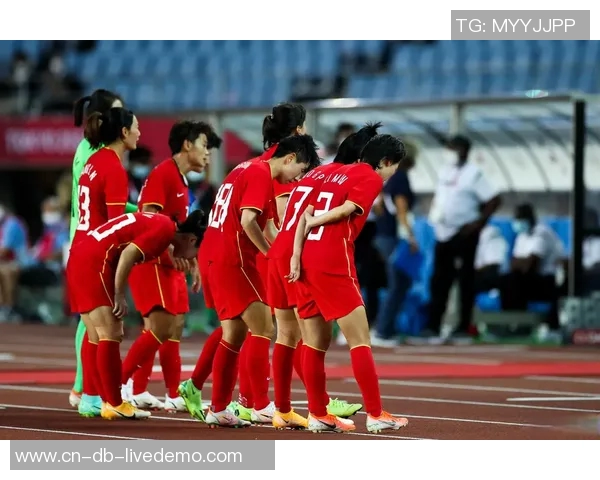 珂缔缘足球俱乐部携手共进打造中国足球新辉煌的梦想之旅