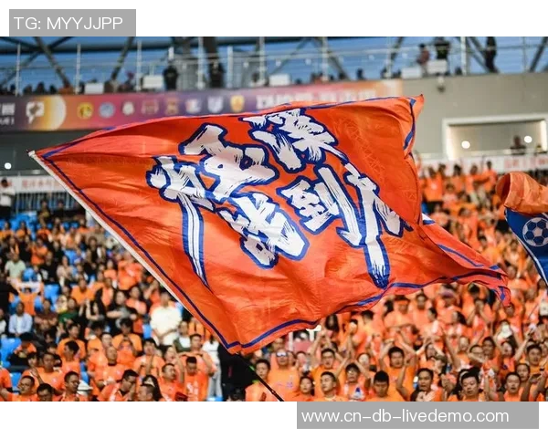 足球手势的魅力与技巧解析让你在场上更具竞争力